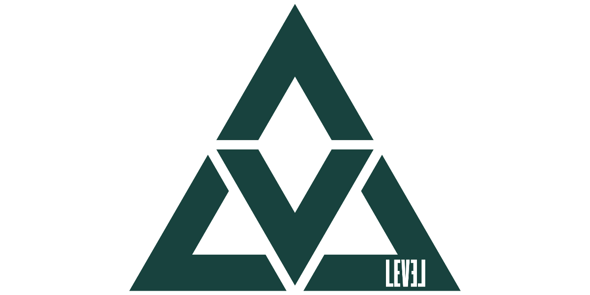 Level Motion's Logo